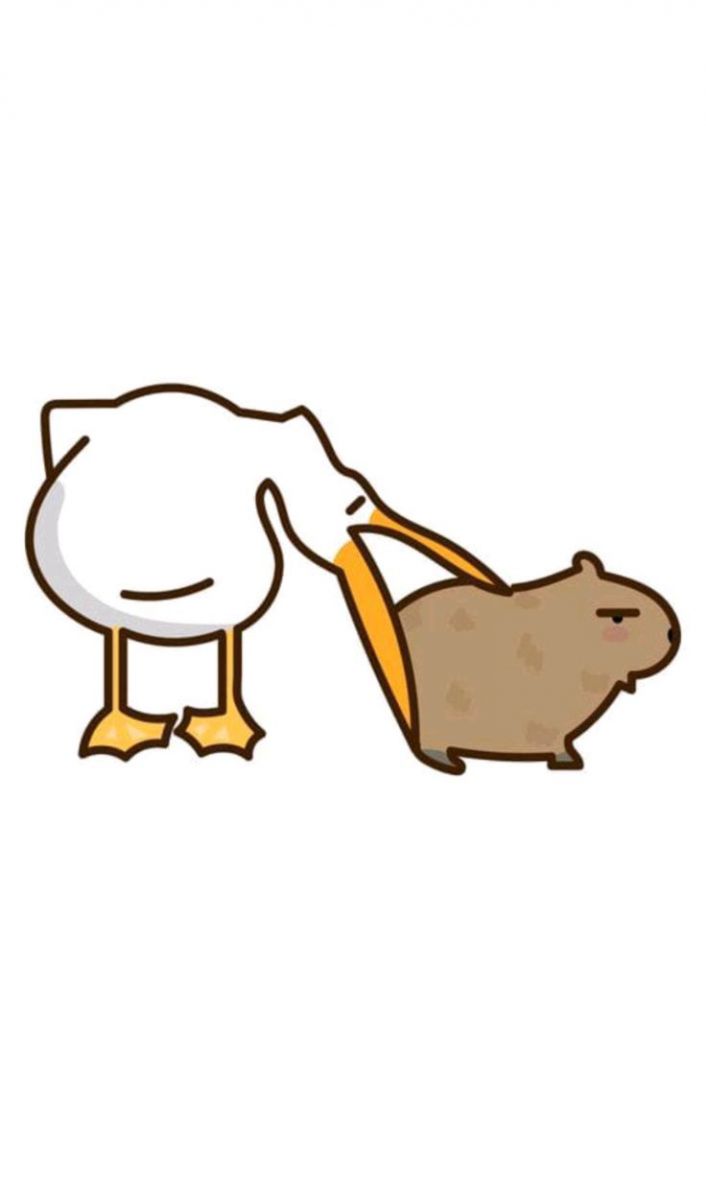 Hình nền capybara cute, đơn giản cho điện thoại