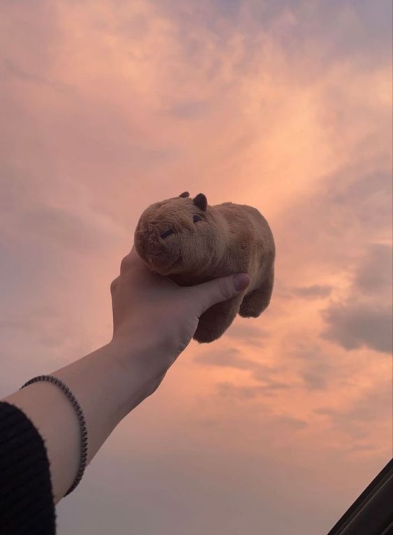 Hình nền capybara wallpaper chân thực