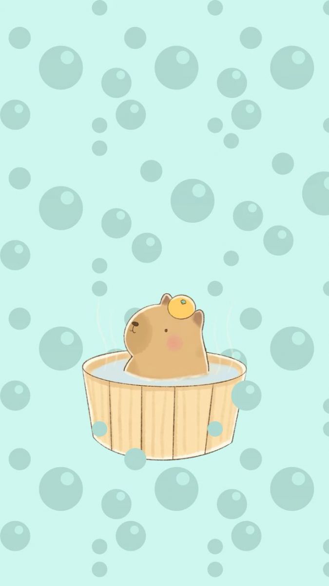 Hình nền capybara cute, đơn giản cho người hướng nội