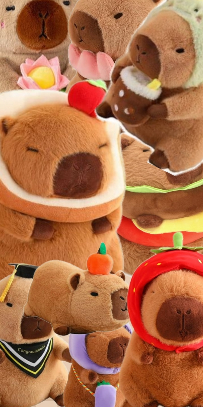 Hình nền Capybara vô tri, dễ thương