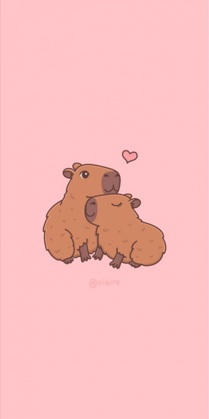 Hình nền Capybara màu hồng