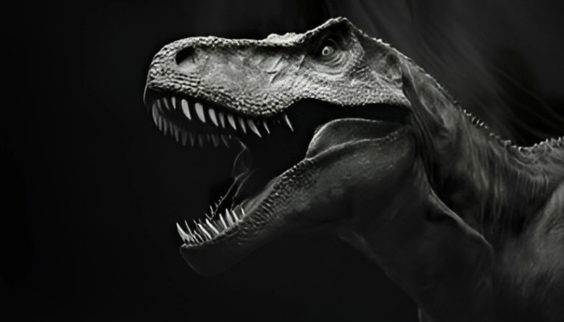 tải ngay ảnh nền khủng long đen cực chất