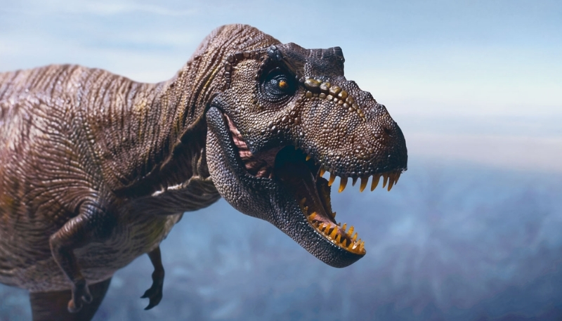 tải nhanh hình khủng long bạo chúa cực nét