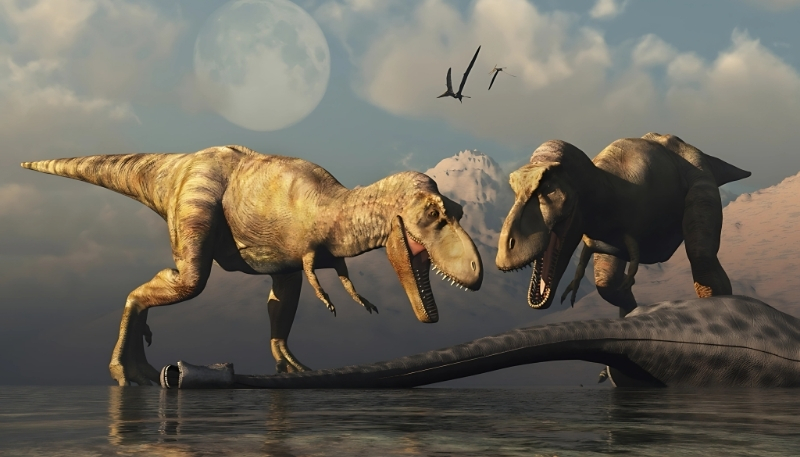 hình nền khủng long cute phô mai que