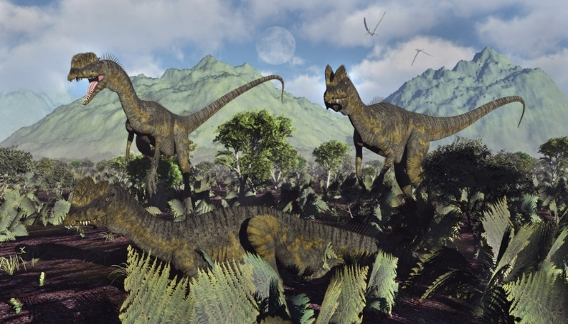 bộ sưu tập ảnh khủng long đôi dễ thương