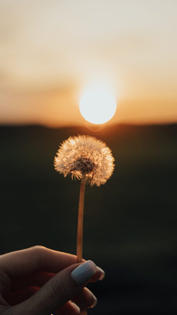 hình nền điện thoại đẹp