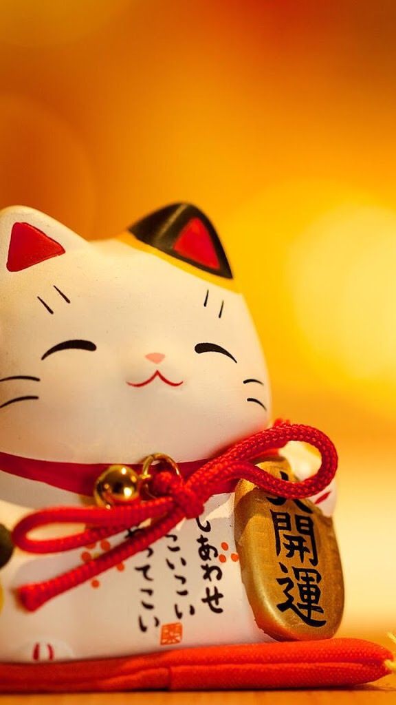 Hình nền mèo thần tài đẹp cho điện thoại