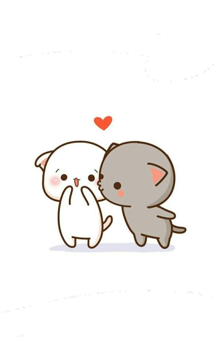 Hình nền cặp mèo, hình nền mèo đôi dễ thương