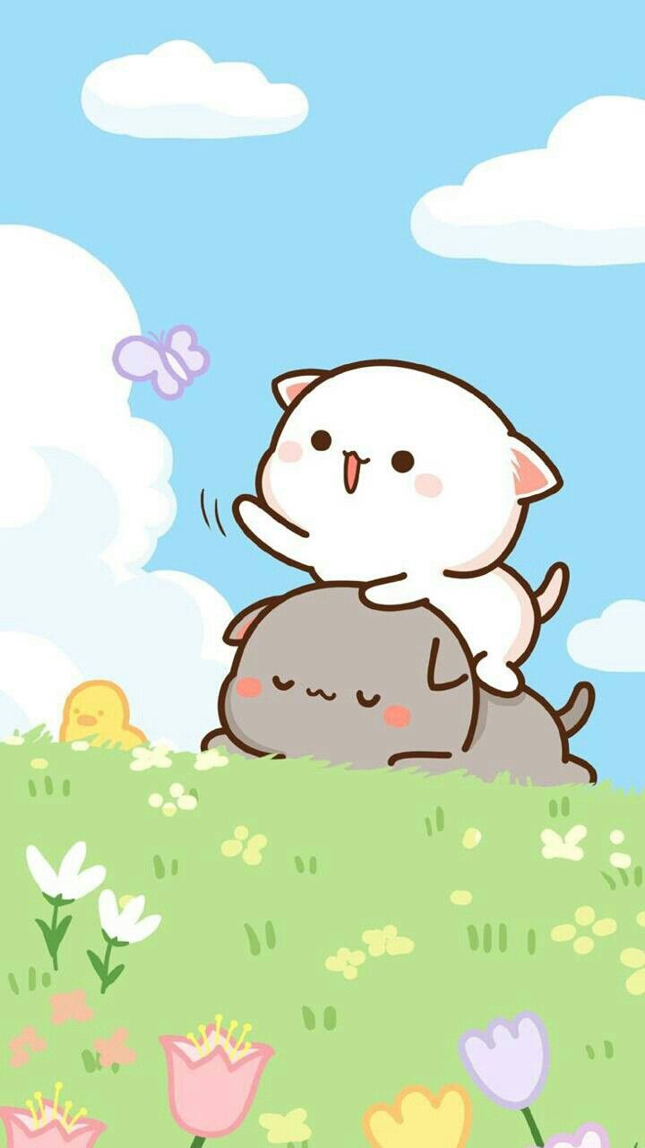 Hình nền mèo ngầu đẹp cho điện thoại