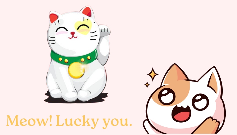 Hình nền máy tính mèo thần tài