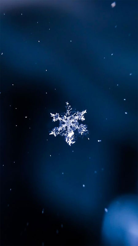 anh-mau-xanh-duong-21