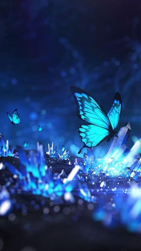 anh-mau-xanh-duong-28