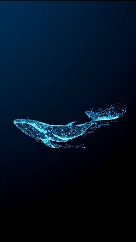 anh-mau-xanh-duong-20