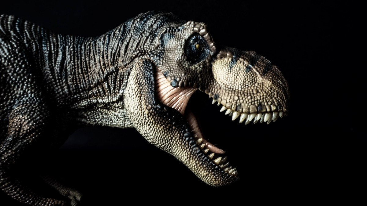 Hình ảnh Khủng Long bạo chúa trong thế giới cổ đại