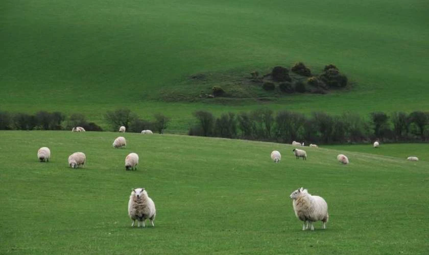 Ảnh bìa Zalo chill, phong cảnh đẹp