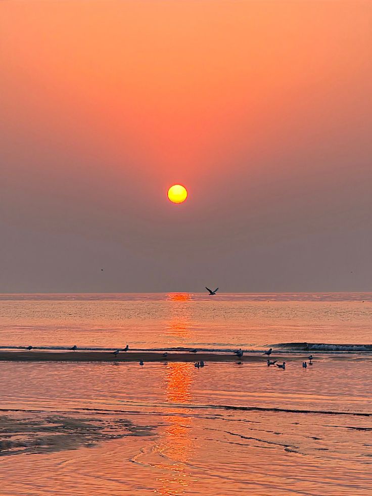 hình nền hoàng hôn 4K