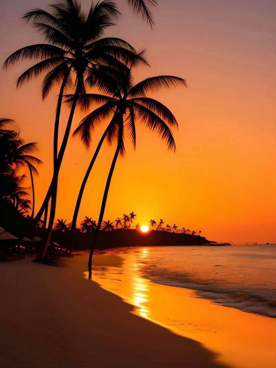 hình nền hoàng hôn đẹp cho điện thoại