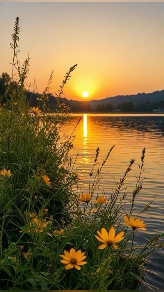 cảnh đẹp hoàng hôn