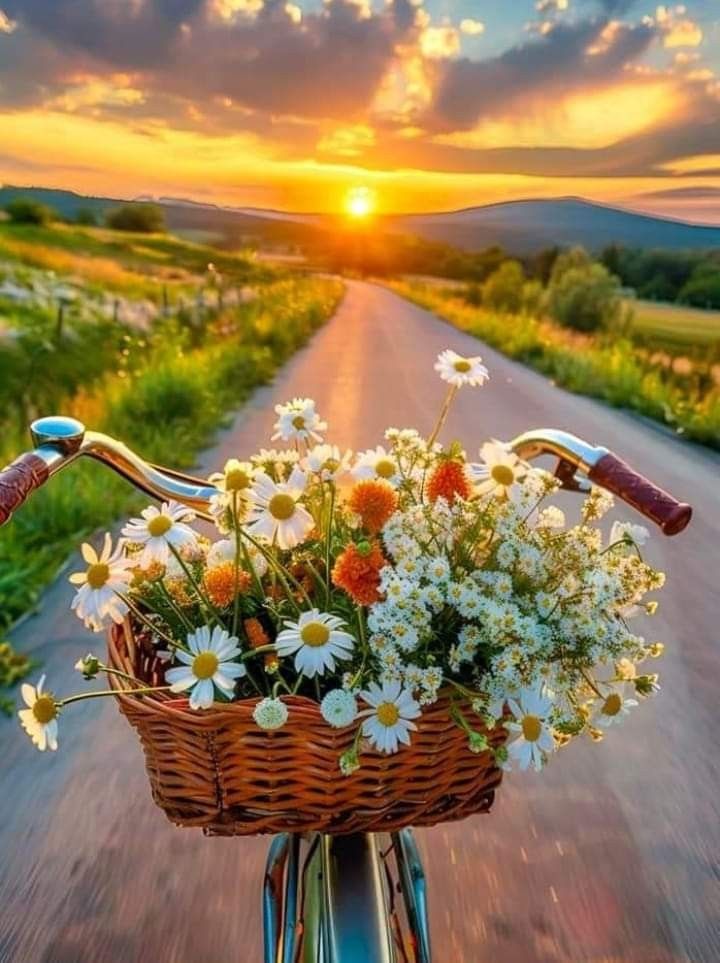 hình nền hoàng hôn chill