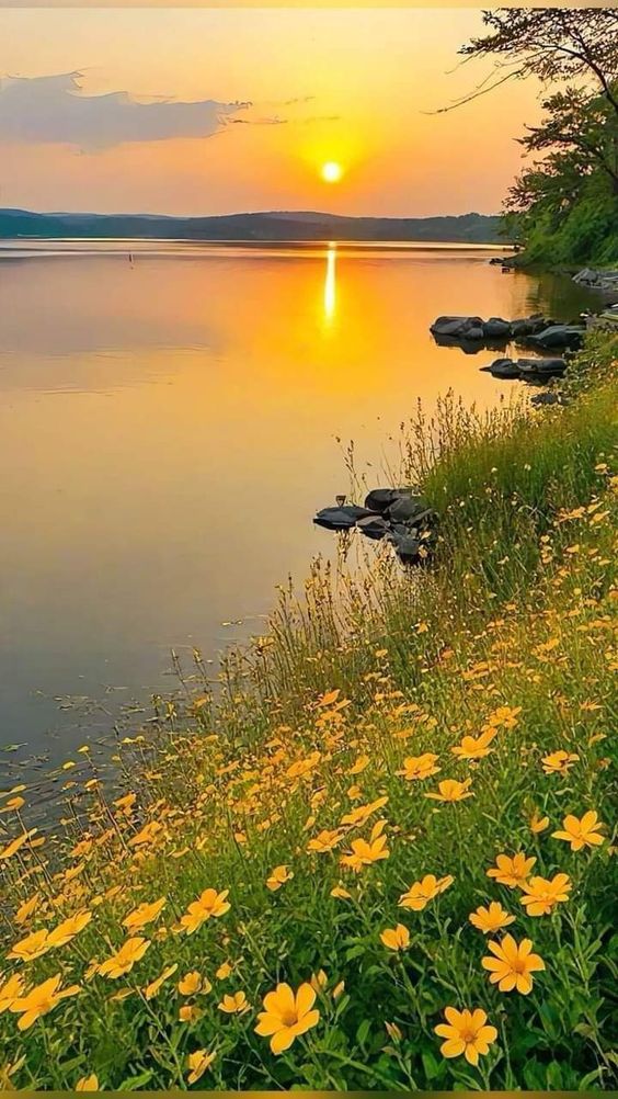 hình nền hoàng hôn chill