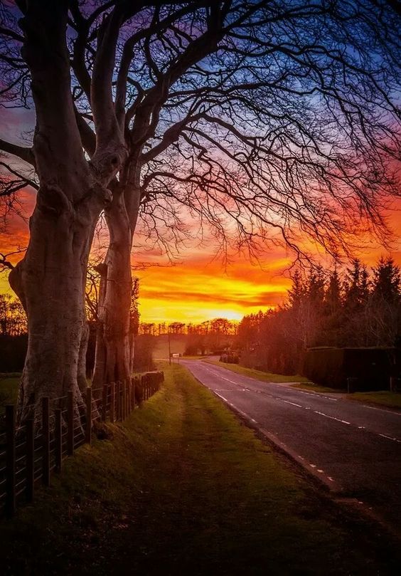 ảnh nền hoàng hôn trên núi