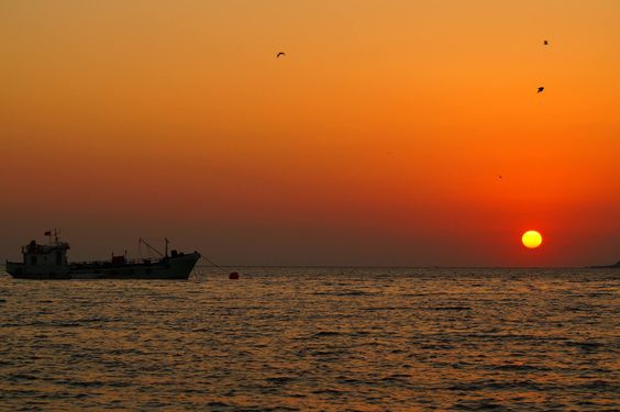 ảnh biển chill buồn