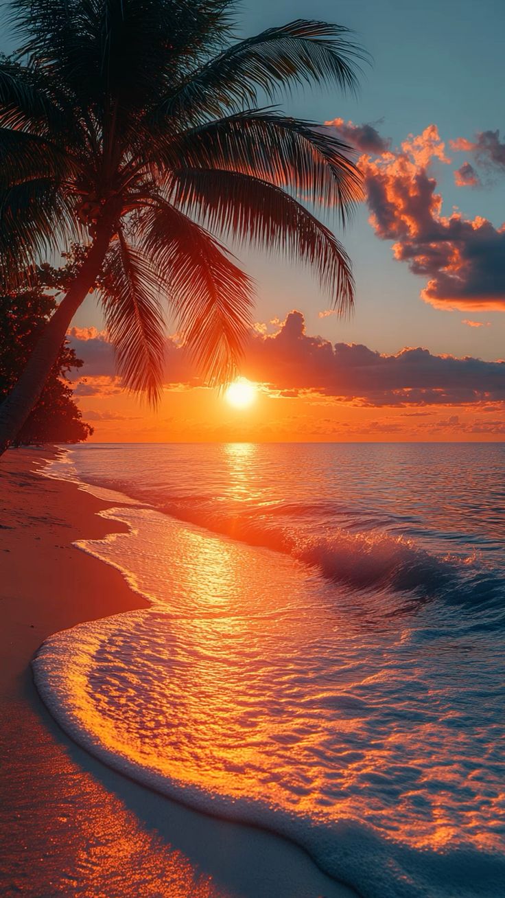 hình nền biển hoàng hôn