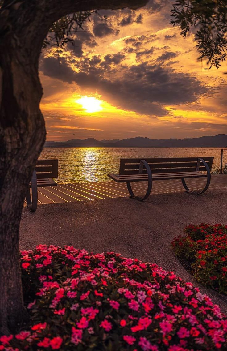 hình nền biển hoàng hôn