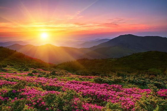 hình nền phong cảnh hoàng hôn