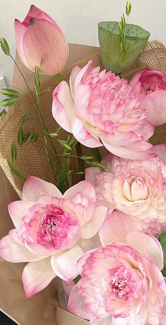 hình nền hoa sen 4K