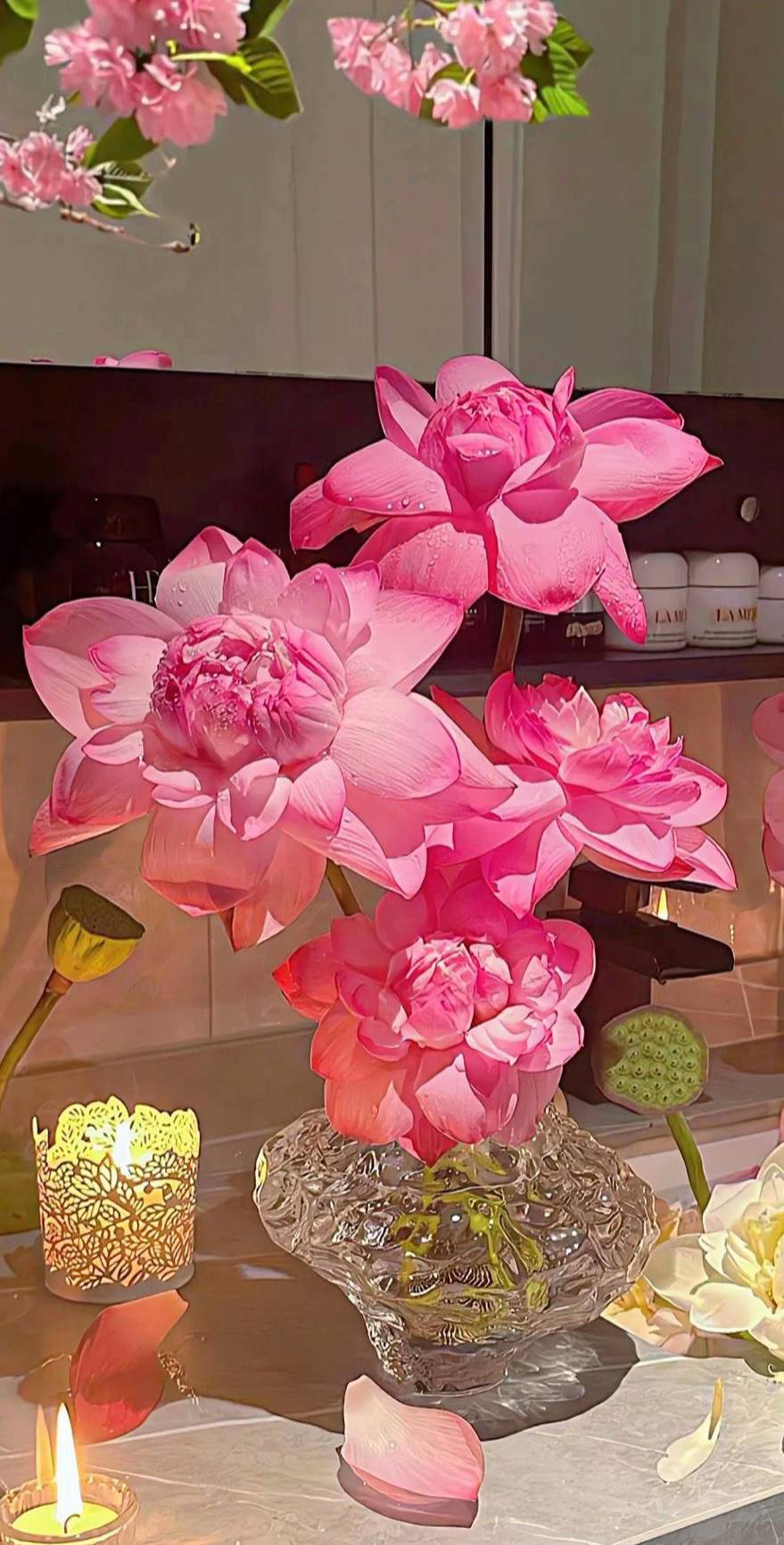 hình nền hoa sen hồng