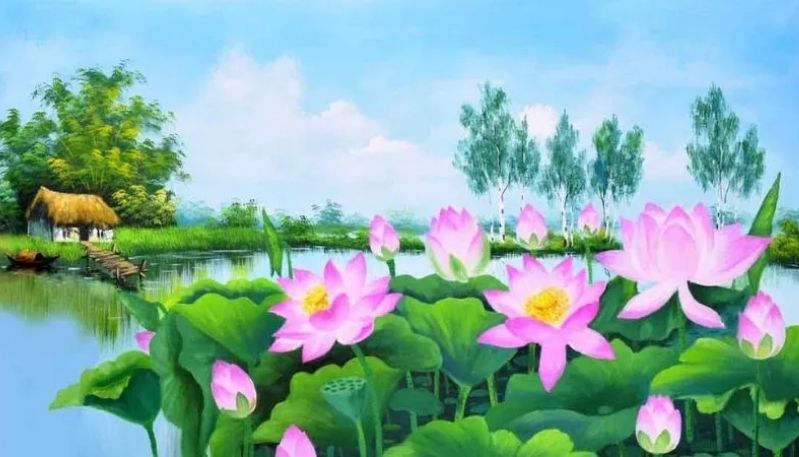 ảnh hoa sen trong đêm