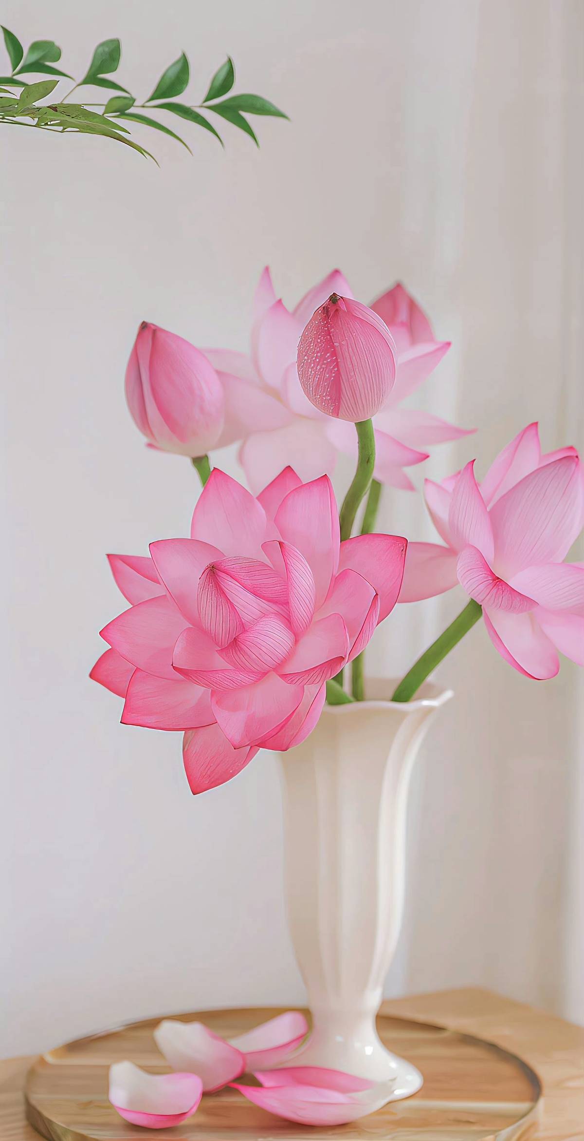 hình nền hoa sen 4K