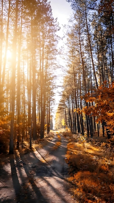 Hình nền Samsung bươm bướm