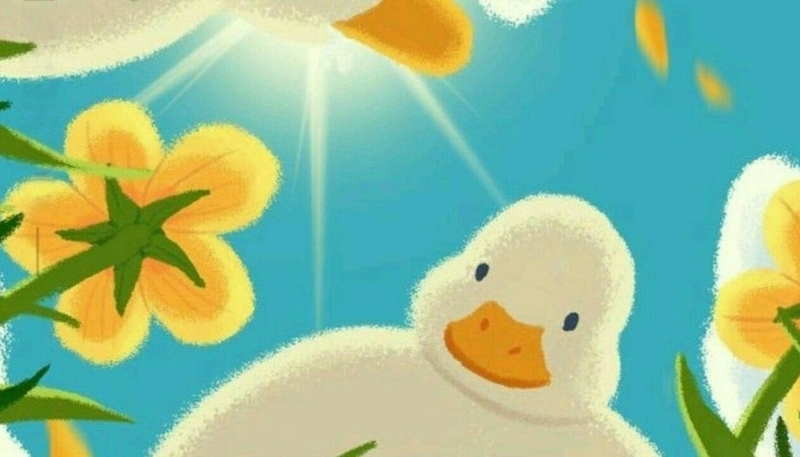 hình nền con vịt vô tri hài hước cho máy tính