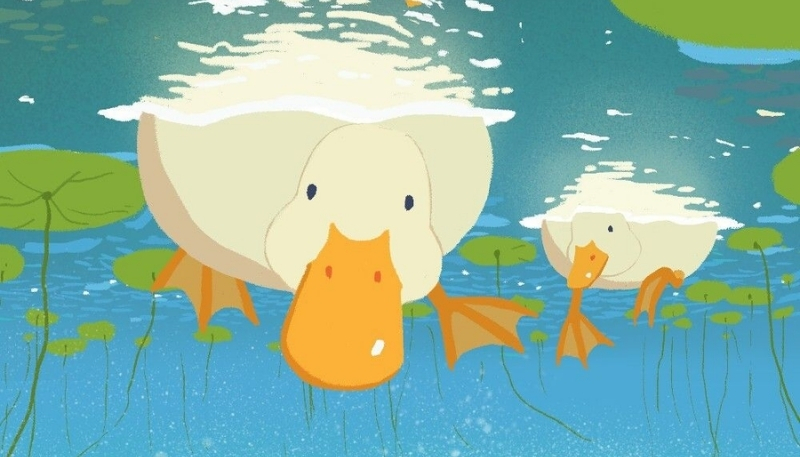 nền con vịt vô tri đáng yêu 4K sắc nét