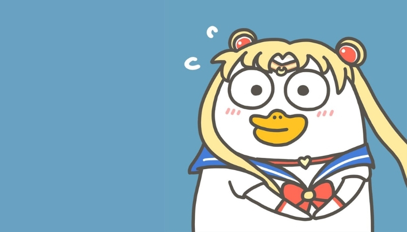 ảnh nền vịt vô tri hài hước sắc nét