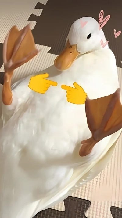 nền con vịt khôi hài đẹp 4K sắc nét