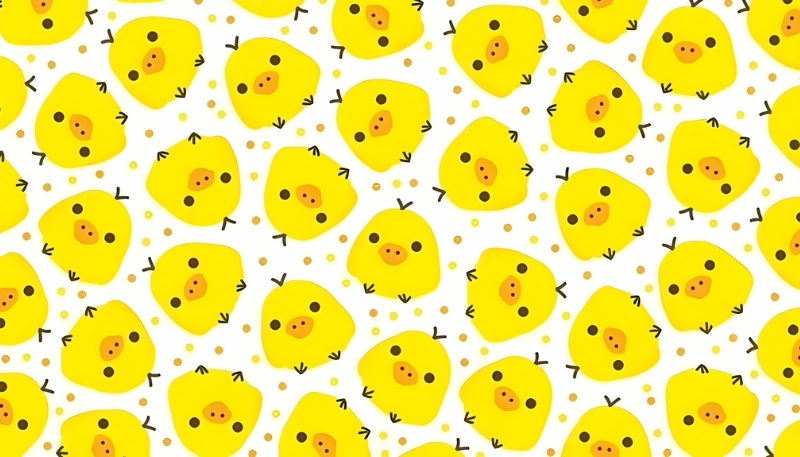 hình nền con vịt cho máy tính