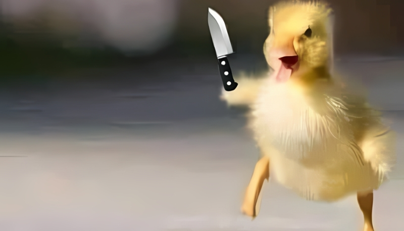 hình nền vịt hài hước cho laptop