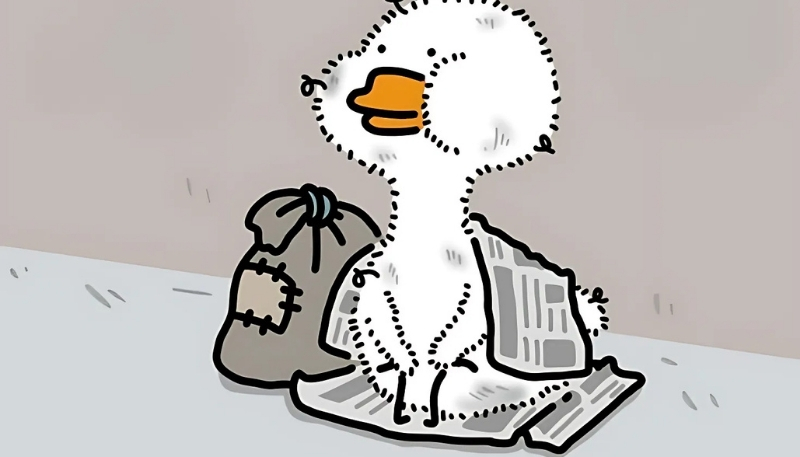 nền meme vịt buồn cười cho màn hình rộng