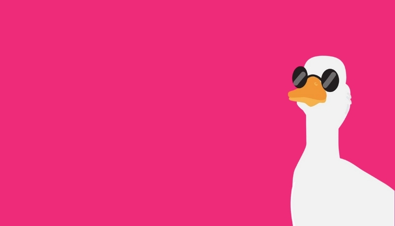 ảnh con vịt ngầu đẹp 4K cho desktop