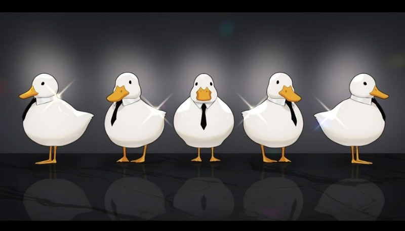 ảnh vịt ngầu đẹp làm hình nền máy tính