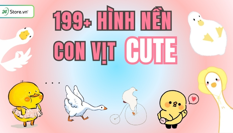 TOP 199+ Hình nền con vịt cute, dễ tải về máy tính, điện thoại