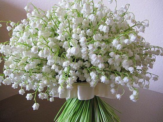 hình nền hoa linh lan cute