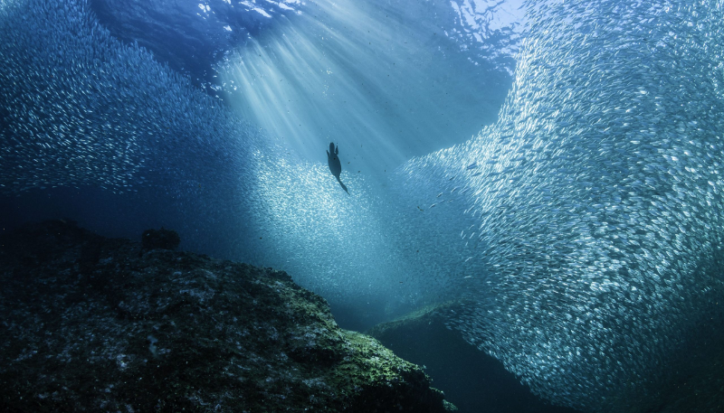 hình nền may mắn tài lộc