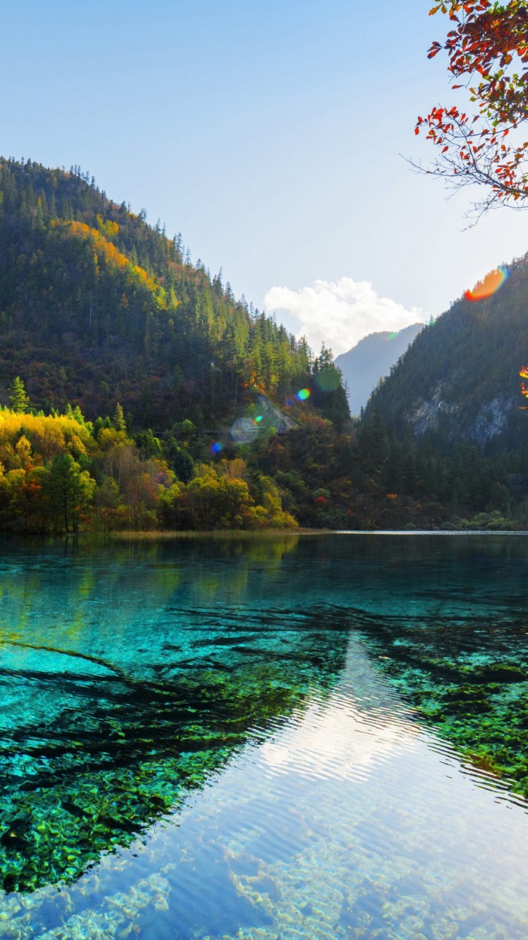 hình nền 4k iphone