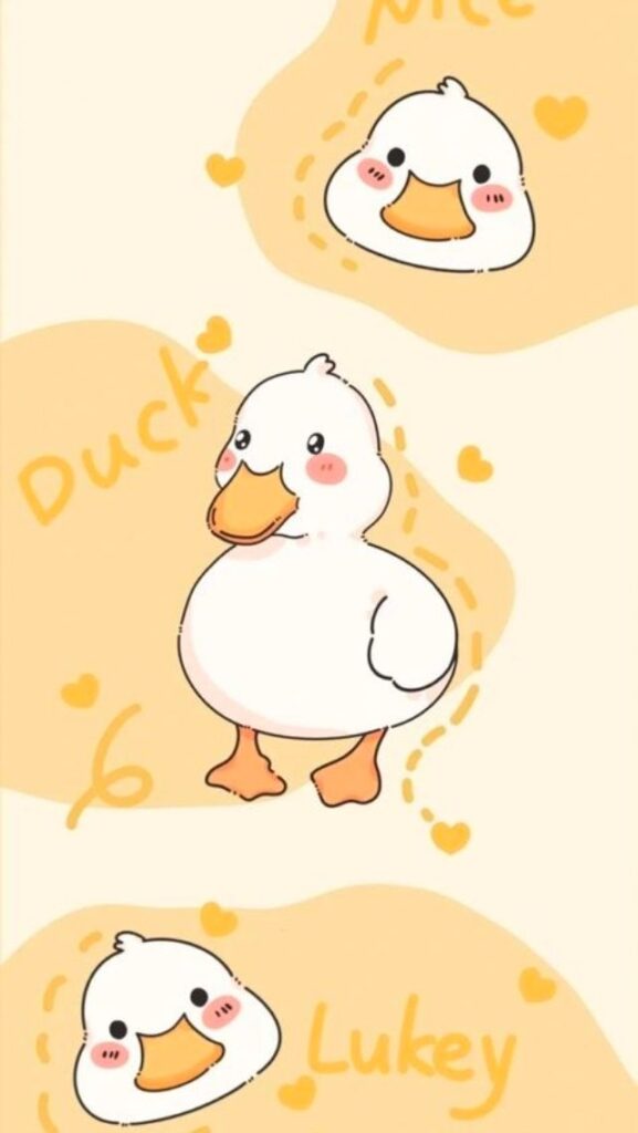 Hình nền iPhone 11