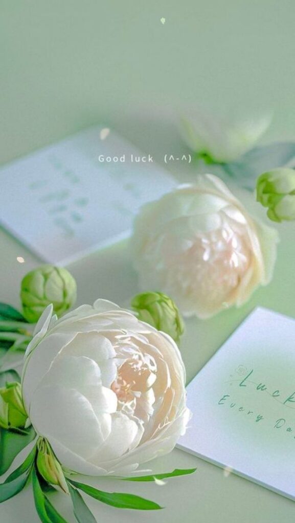 Hình nền iPhone 11