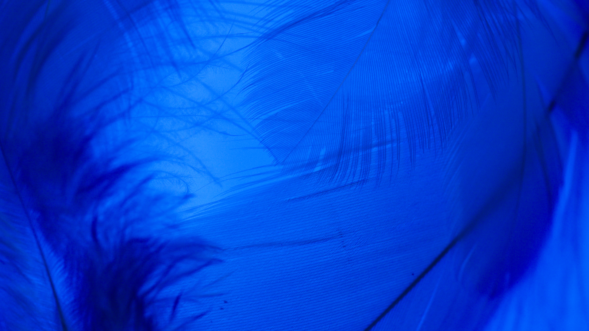 background xanh dam png